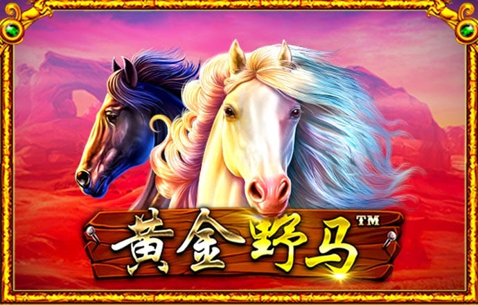 16877太阳集团